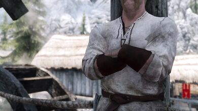 Skyrim: When my husband is at work, I let out my inner dragon and fuck anything that moves!