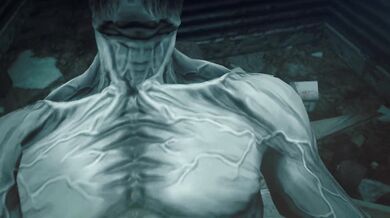 Riding the Walrus POV: A Kas Kas Adventure