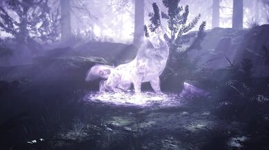 The Beautiful Maidens of Kinkyland