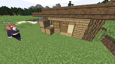 Jenny, the Model - Jenny