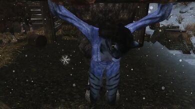 The Naughty Khajiits Sultry Submission to a Lust-Crazed Stallion