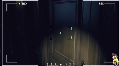 The Anal Queen: A Hairy Adventure