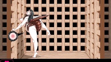 The ultimate hentai video collection!