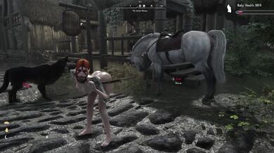 On a rainy day in Falkreath, two strangers meet at an inn and end up having wild sex despite the weather outside
