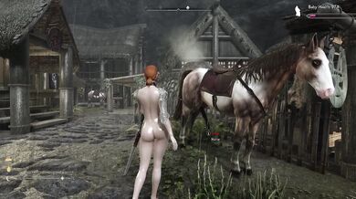 On a rainy day in Falkreath, two strangers meet at an inn and end up having wild sex despite the weather outside