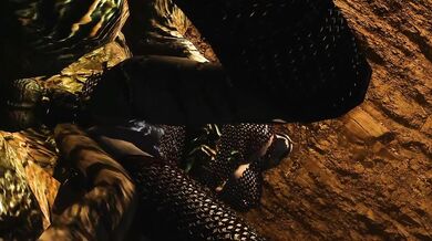 Eager Tentacle Creature Dominates a Subservient Khajiit and Fulfills Its Lust