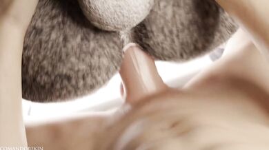 Write a brief summary of the video in 10-15 sentences