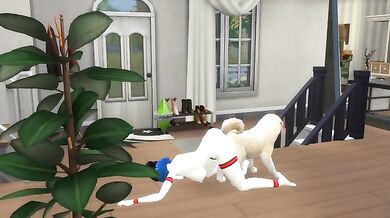 Bone-a-Fide Adventure: Raven and her Dog Go on a Journey to Explore New Heights
