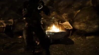 -----------------------