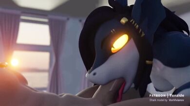 The Shark-tastic Love Affair of Tenzide!