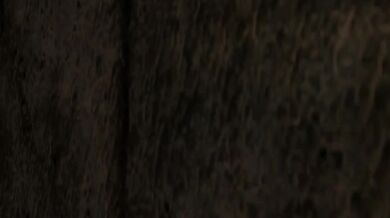 Tristanas Internal Orgasm: Stuffed By Nasus Cock [Fullmetaldude]