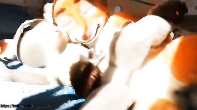 Judy Gets Roughly Fucked by Nick