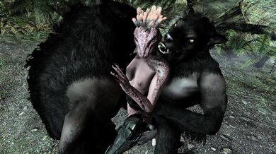 The Argonian Hunter and the Werewolfs Secret Love Affair