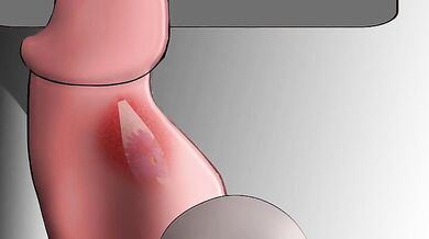 Hung like a horse, his cock devoured by Azzidraggy