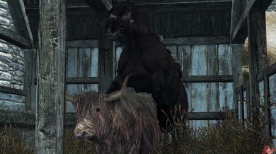 The Sexy Dance Party - Hot Girls and Horny Men