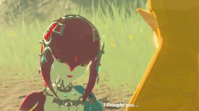 Miphas XXX Adventure with Link and Zelda - A Wicked Collection Vol 1: The Sable Serving (Loop)