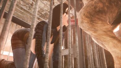 Elizabeth26 - Noname55