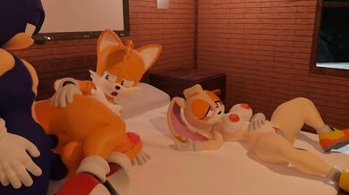 The Trap of the Hedgehog: Sonics Prey