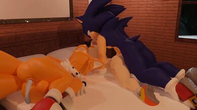 The Trap of the Hedgehog: Sonics Prey