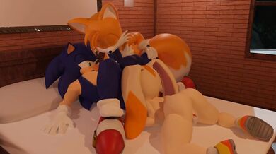 The Trap of the Hedgehog: Sonics Prey