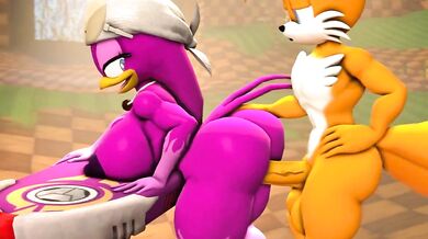 Two Tails and a Wave: A Love Story