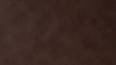 The Catwoman VS Harley Quinn Shot Showdown (18 )