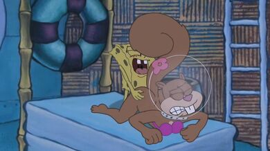 What happens when SpongeBob loses an episode of his favorite adult cartoon?