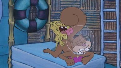 What happens when SpongeBob loses an episode of his favorite adult cartoon?