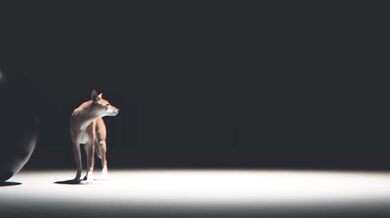 5 Months Deep in Blender: Disclaimer in the comments