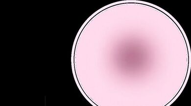 Dear Diary, today I discovered the joys of being a cowgirl with Ella!