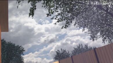 Renamons Adventure with Mr Safety Lion and Sly X