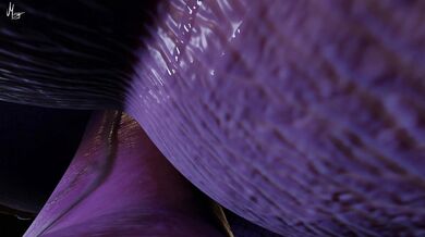 A Selena Taker POV featuring Moogan Selenas POV - A Rough Sex with Moogan