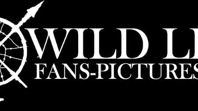 -----------------------------------------------------------