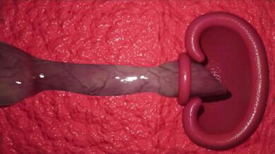 Melina got fucked by a werewolf in DicEsFm, and it was a wild ride!