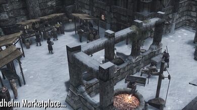 The Young Widow’s New Pet