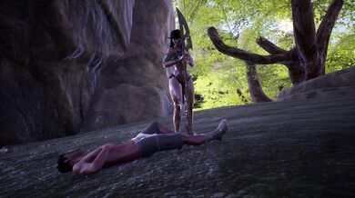 Would you like to stay at the Elven Hospice for a night, where the staff are trained in both healing and pleasure?