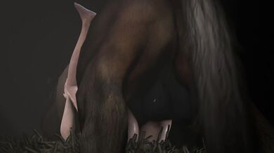 Watch as these two horses fuck each other raw in this intense 14 minute long horse porn video!
