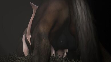 Watch as these two horses fuck each other raw in this intense 14 minute long horse porn video!