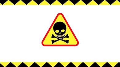 After the war ended, I picked up some useless human weapons and brought them home to play with