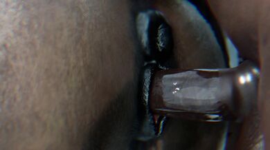 Mare Overload - Hidden in the Forbidden Forest