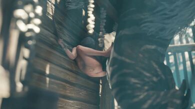 ZMSFM Ciri and Fiend Instantloss (Second angle)