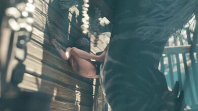 ZMSFM Ciri and Fiend Instantloss (Second angle)