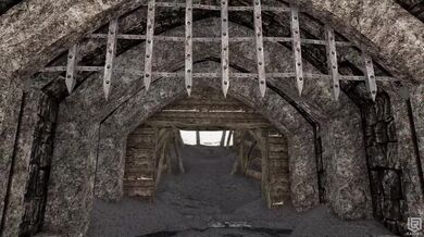 Unleashed Beauties Banging on the Full Moon