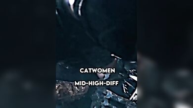 Catwomen Vs Batgirl (WIS)