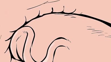 Beauty and the butterball