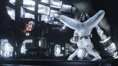 Two Hot Lesbians and a Horse