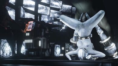 Two Hot Lesbians and a Horse