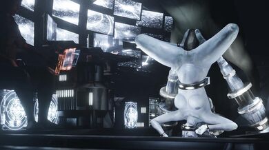 Two Hot Lesbians and a Horse