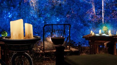 Minerva and the Huskies: A Doggy-Style Adventure