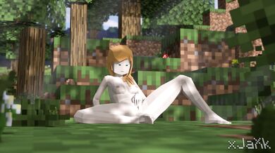 Taking Care of Business in the Minecraft Bedroom: Alexs Self-Satisfying Adventure